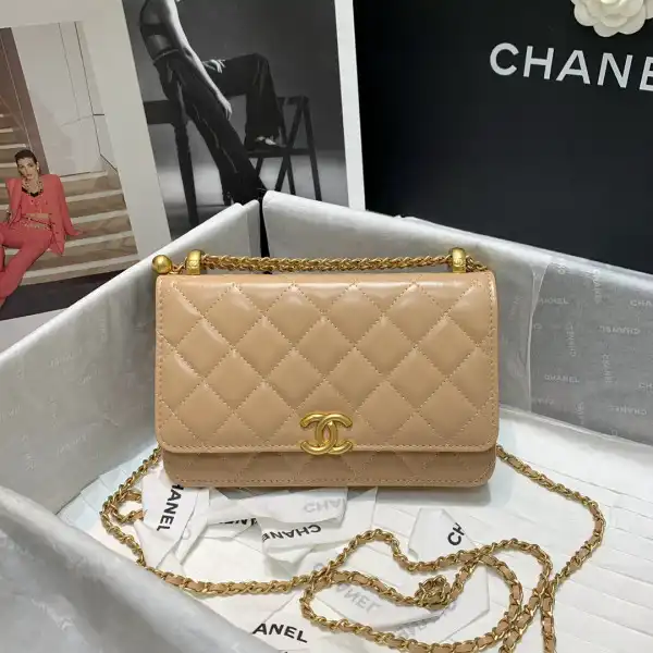 First bag CHANEL WALLET 0123