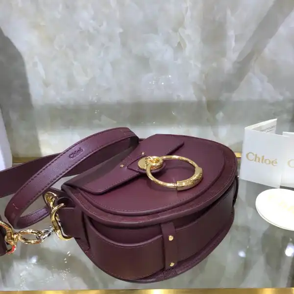 Firstbag ru CHLOÉ SMALL TESS BAG 0128