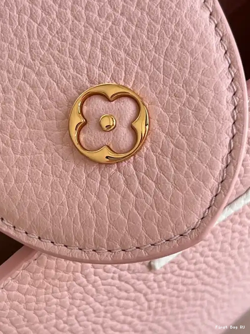 First bags ru reviews BB LOUIS VUITTON CAPUCINES 0225